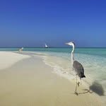 Johnnie Buckley - @johnnieitbuckleyit - Instagram