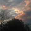johnniebuckley867 - @johnniebuckley867 - TikTok