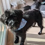 Johnny Buckley - @johnnydog2025 - Instagram