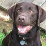 Johnny Buckner - @fast.busa1300 - Instagram