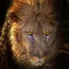 John Durham - @john.durham51 - TikTok