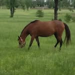 Johnnie Brown Elder - @johnniebrownelder - Instagram