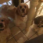 Johnny Forbes - @johnny.forbes.397 - Instagram