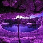 Johnnie Goins Holt - @jholt1957 - Instagram