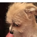 Johnnie Guy - @johnnie.guy.12 - Instagram