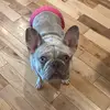 John Haney - @johnhaney3927 - TikTok