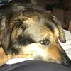 Johnnie Haney - @johnnie.haney - TikTok