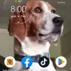 Johnnie Hill - @johnnie.hill8 - TikTok