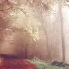 JohnnieHolmes223 - @johnnieholmes223 - TikTok