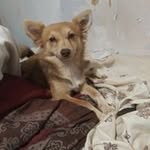 Johnny Jarrell - @johnny.jarrell.568 - Instagram