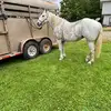 Johnnie Jones - @johnnie.jones47 - TikTok