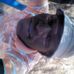 Johnnie Kay - Facebook