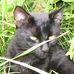 Johnnie Larkin - Facebook