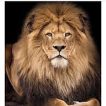 Johnny Mann - @johnnymann365 - Instagram