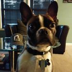 Johnny mobley - @johnnymobley8222 - Instagram