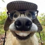 John Erna - @john.niemorales - Instagram