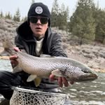 Johnny Morrison - @tuck_knee - Instagram