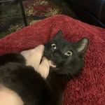 Johnnie Muncy - @muncy.johnnie - Instagram