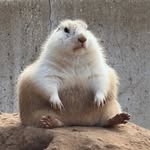 Johnny Pratt - @boiledgoose23 - Instagram