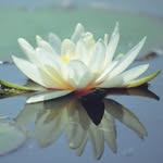 Johnny Rowe - @therelaxationcoach - Instagram