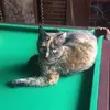 johnnieshort - @johnnie.jay - TikTok