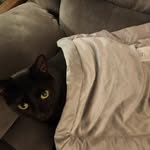 Johnny Singleton - @johnny.singleton.5648 - Instagram
