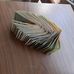 Johnnie Torres - Facebook