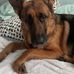 Johnnie Whitehead - Facebook