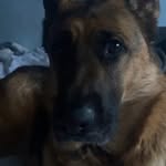 Johnnie Whitehead - @johnniewhitehead61 - Instagram