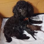 Johnnie York Hawkes - @johnnieyorkhawkes - Instagram
