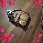 Johnny York - @stratlin - Instagram