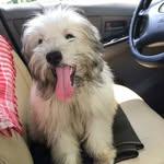 Johnny Agustin - @meese3ks - Instagram