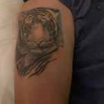 john almonte - @johnnyninja1960 - Instagram