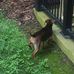 Johnny Applegate - Facebook