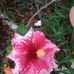 John Applewhite - Facebook
