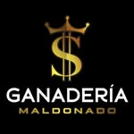 Johnny Marvin Maldonado Arias - @ganaderiamaldonado - Instagram