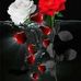 Johnnie Aragon - Facebook