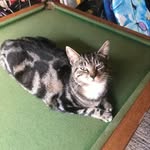 Johnny Arthur - @johnnyarth - Instagram