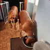 John Asbury - @john.asbury42 - TikTok