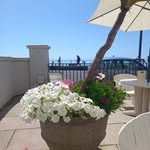 John Neville Ashcroft - @jonnie12345678 - Instagram
