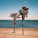 Johnny Ashes - @johnny_ashes_podvertise - Instagram