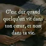 Johnny le savant - @johnnylesavant - Instagram