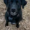 John Babb - @john.babb77 - TikTok