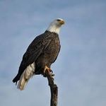 Johnny Babb - @pockets5287 - Instagram