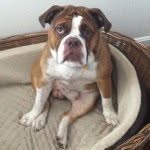 Johnny Bacon - @johnny_bacon1 - Instagram