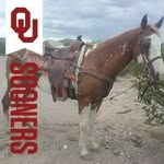 Johnny Badillo - @johnny.badillo.3 - Instagram