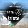 johnybadillo - @johnnybadillo5 - TikTok