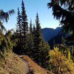John Bales - @jbales0401 - Instagram