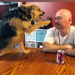 John Ballard - @johnny_civella - Instagram