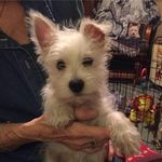 Johnny C. Barfield - @franklinmcdawg - Instagram